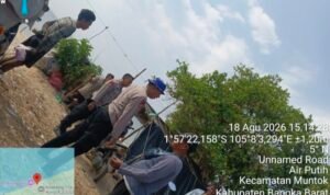 Oplus_16908288